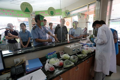 食用農產品抽檢全合格，人大代表政協委員現場見證助力零售安全